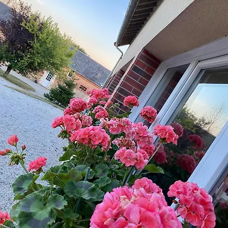 Casa vacanze Gold Au Domaine De Vigor Saint-Pellerin