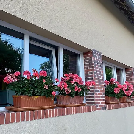 Tatil Evi Gold Au Domaine De Vigor Saint-Pellerin