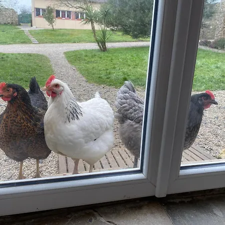 Gold Au Domaine De Vigor *