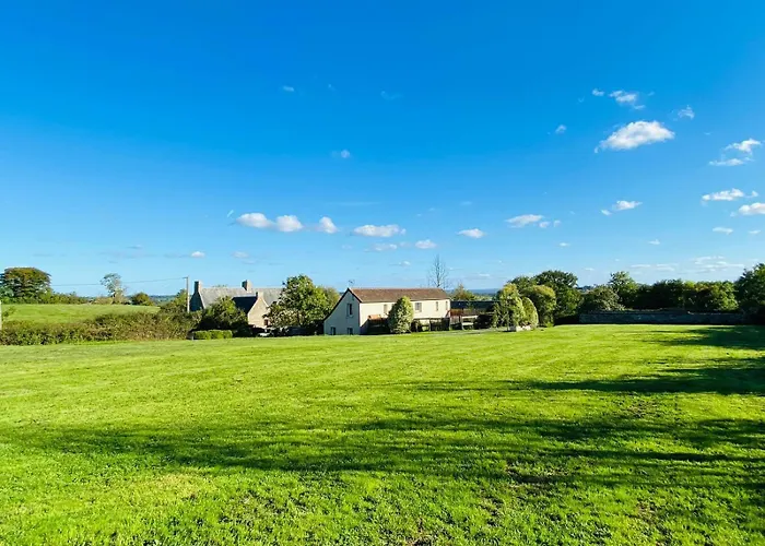 Gold Au Domaine De Vigor * Saint-Pellerin